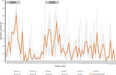 In Vitro Evolution of Antibodies Inspired by In Vivo Evolution